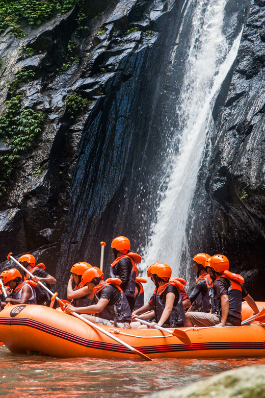 Image of Bali: Ayung River Guided Rafting Adventure with Lunch